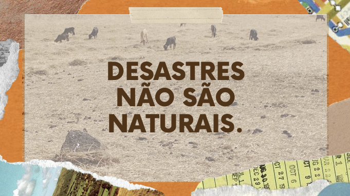 Material elaborado pelos estudantes