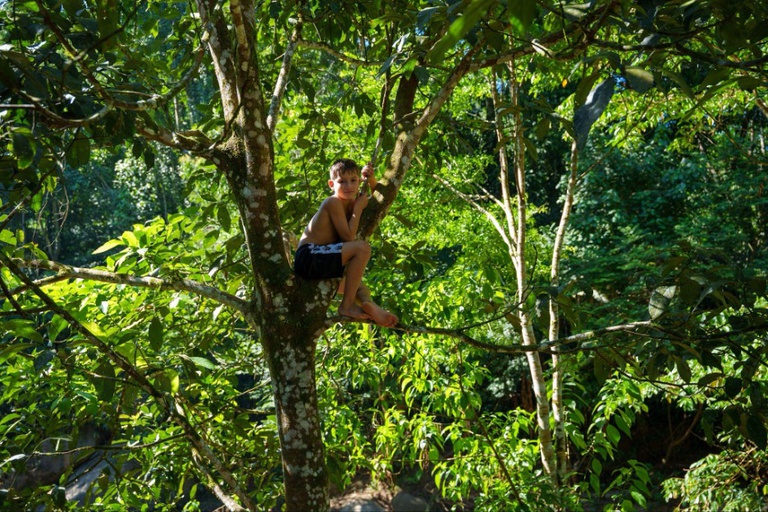 No Quilombo da Fazenda, crianças interagem com o meio ambiente e constroem relação de respeito e conhecimento empírico.