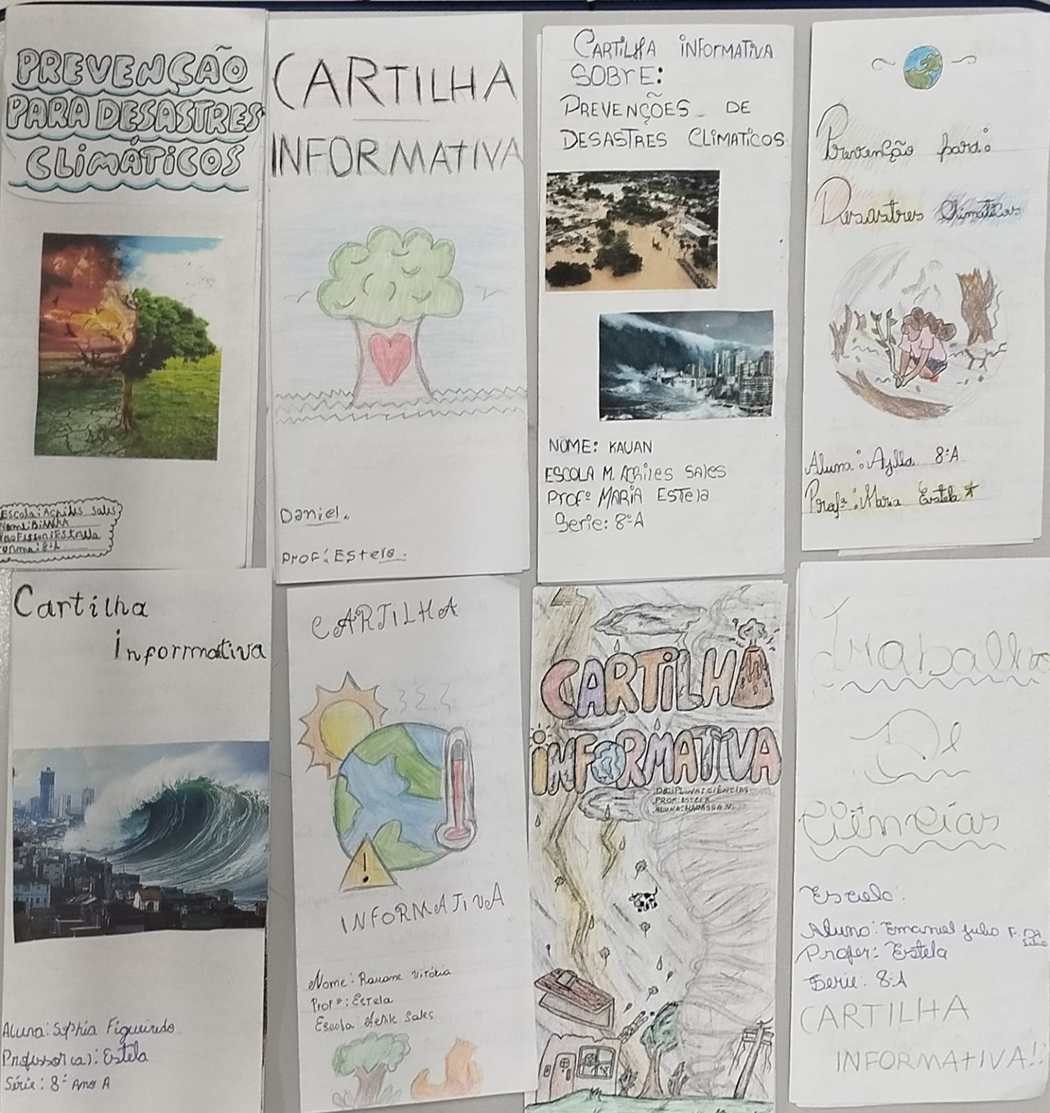 cartilhas produzidas