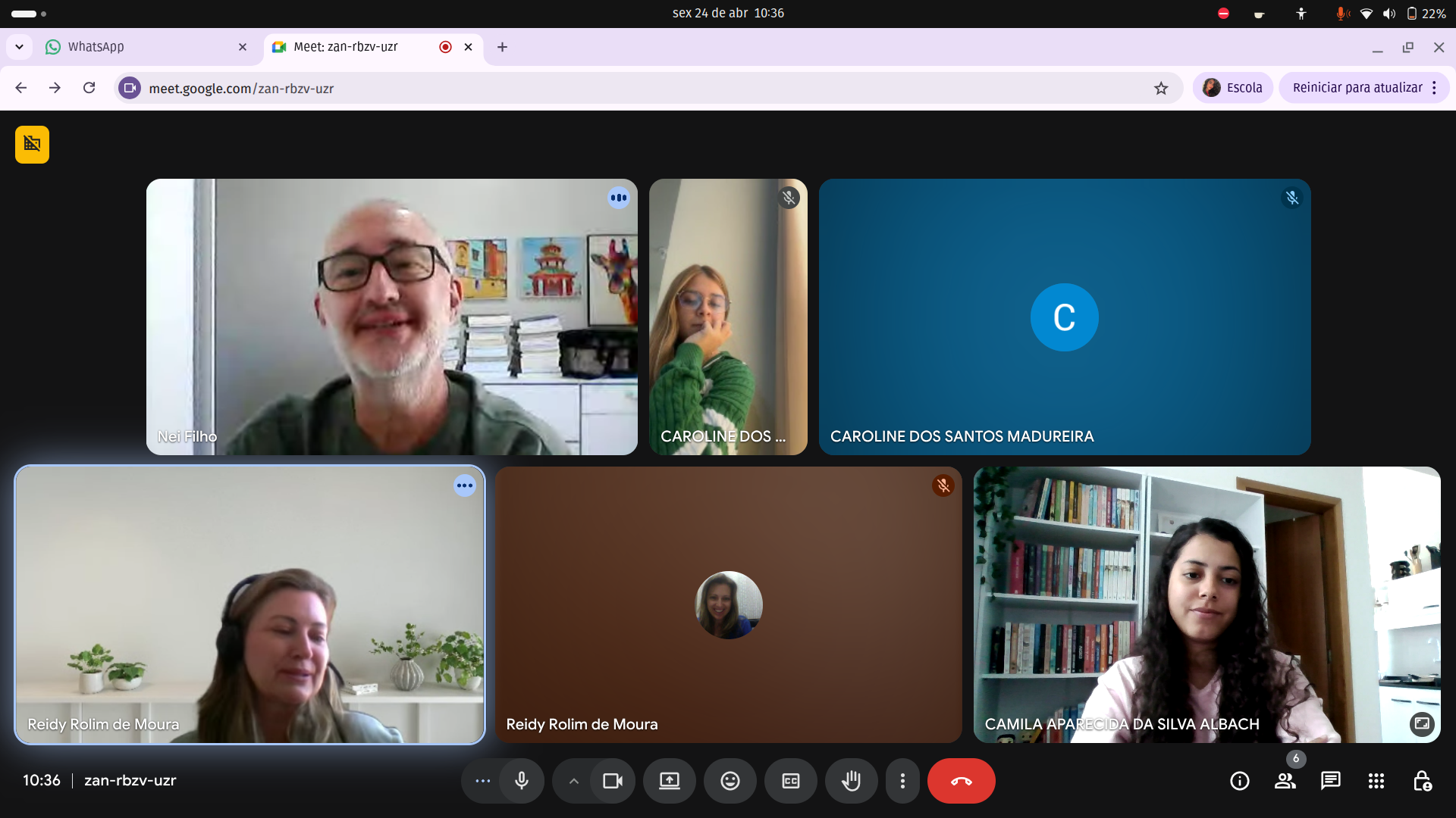 reunião online