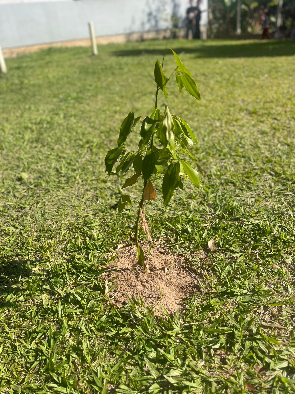 Foto 2