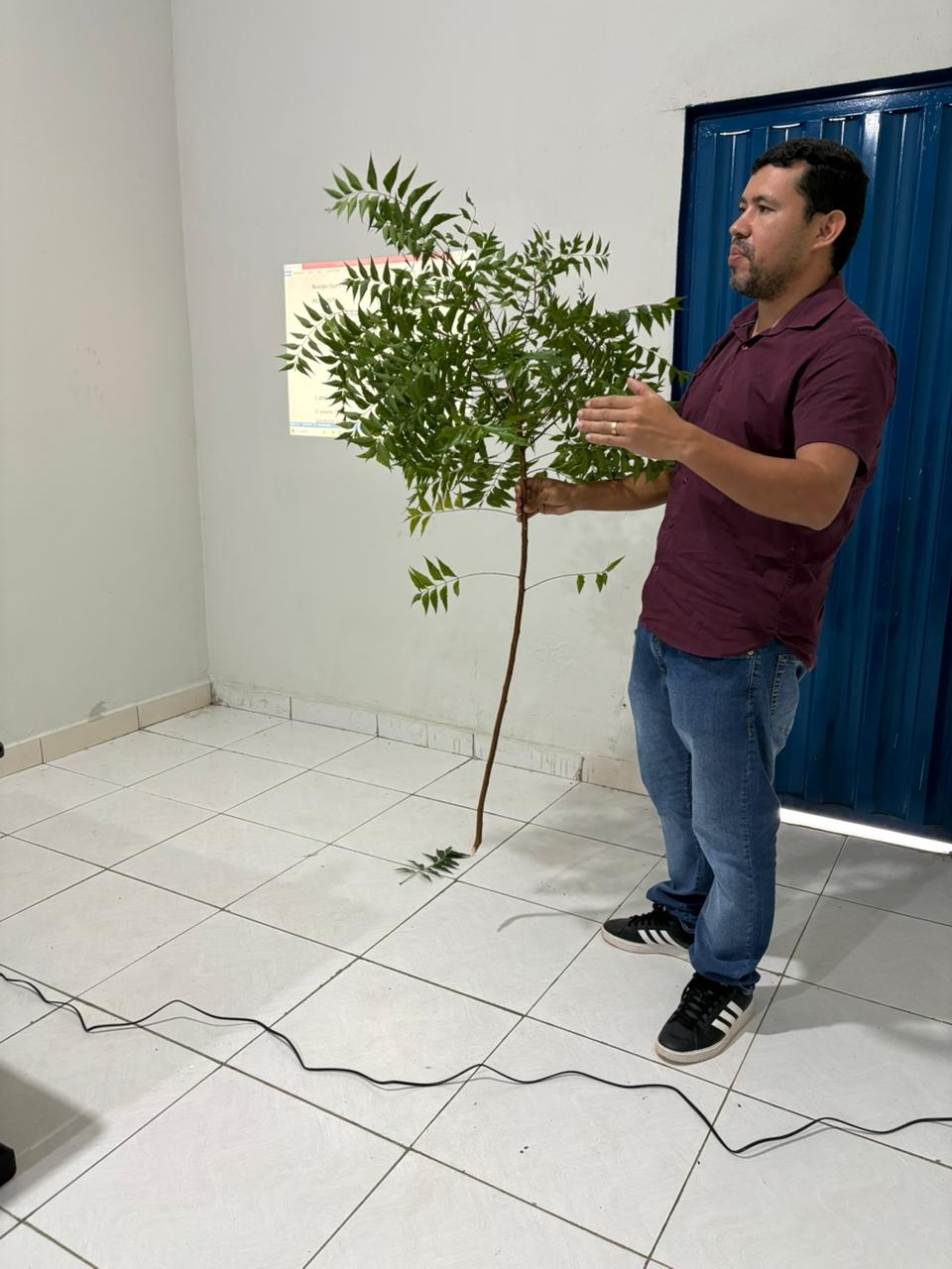 PALESTRA SOBRE O PORQUE DA SUBSTITUIÇÃO DO NIM INDIANO (AZADIRACHTA INDICA A. JUSS.)