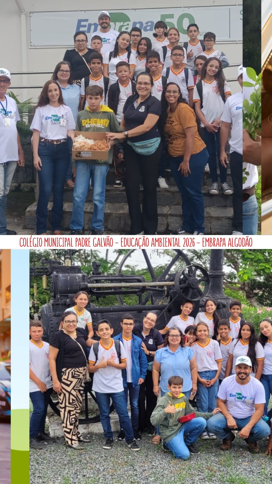 VISITA TÉCNICA A EMBRAPA ALGODÃO COM ALUNOS DA ELETIVA DE EDUCAÇÃO AMBIENTAL