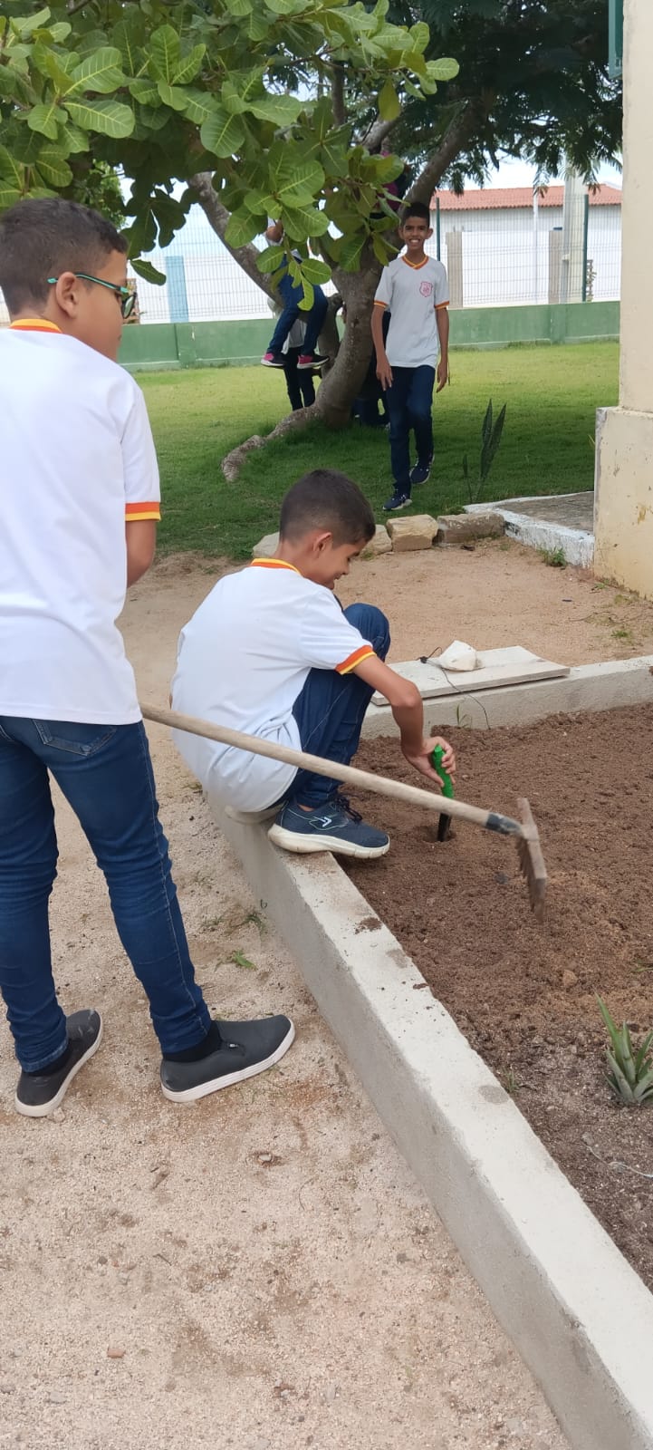 INICIANDO O PLANTIO