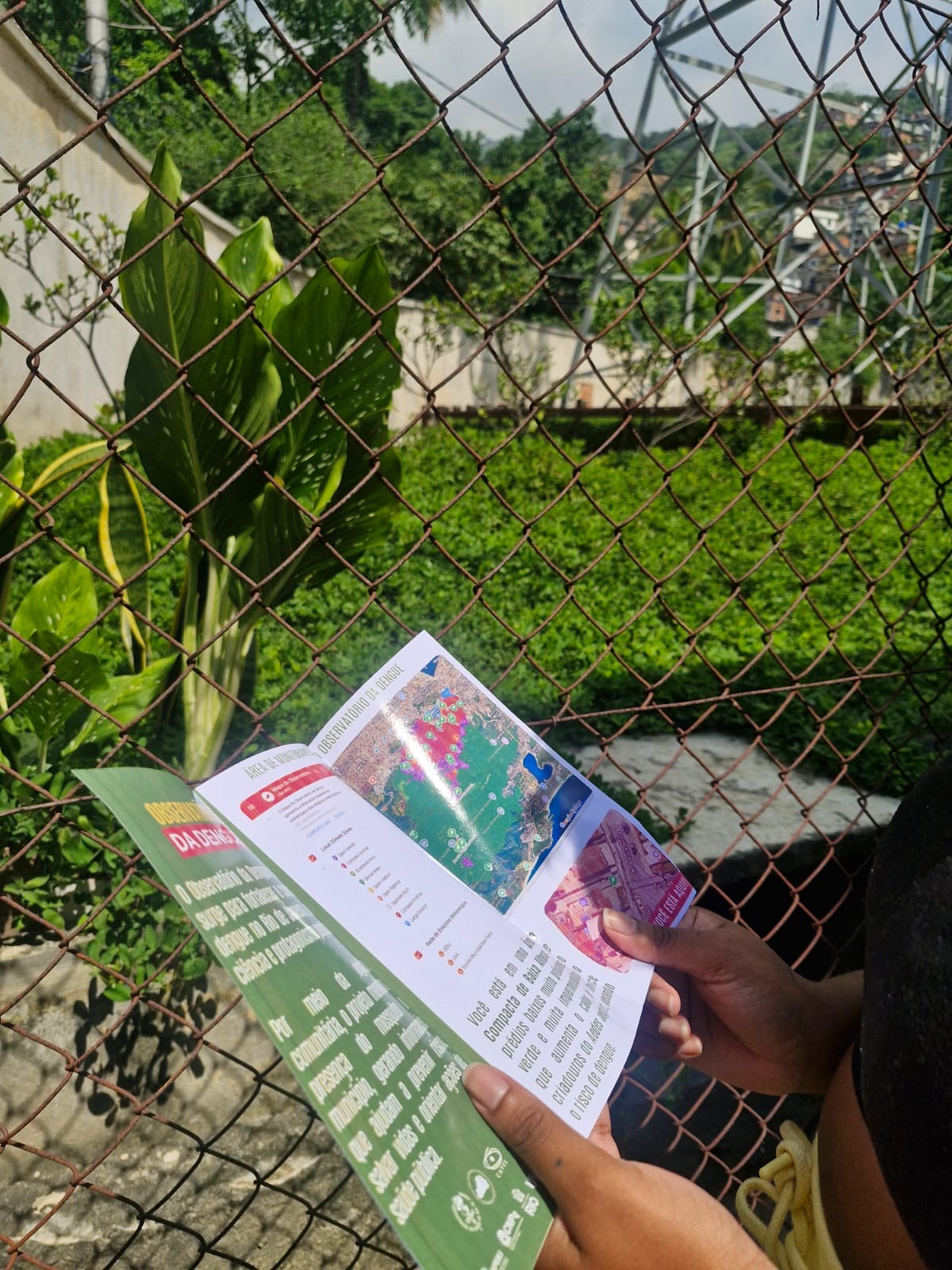 Folder sobre a oviposição do Aedes aegypti para a população da AP 2.2