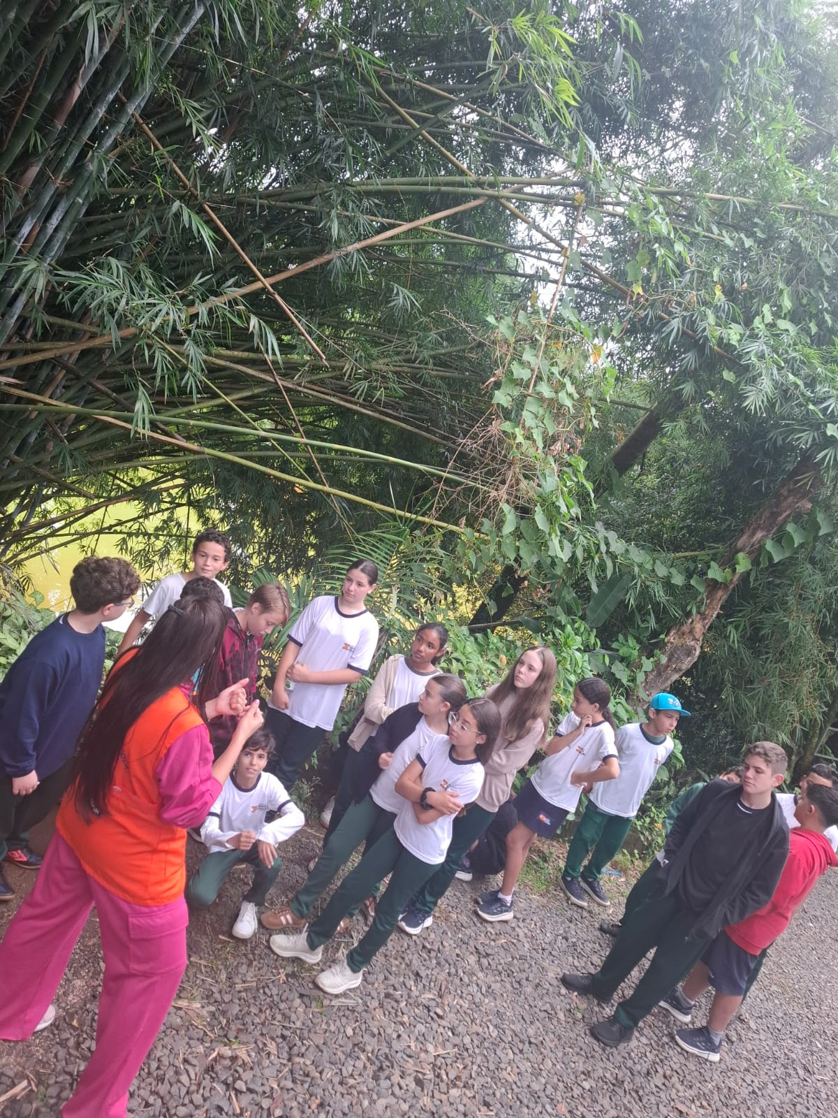 os estudantes com tdah e autismo estão participando das ações