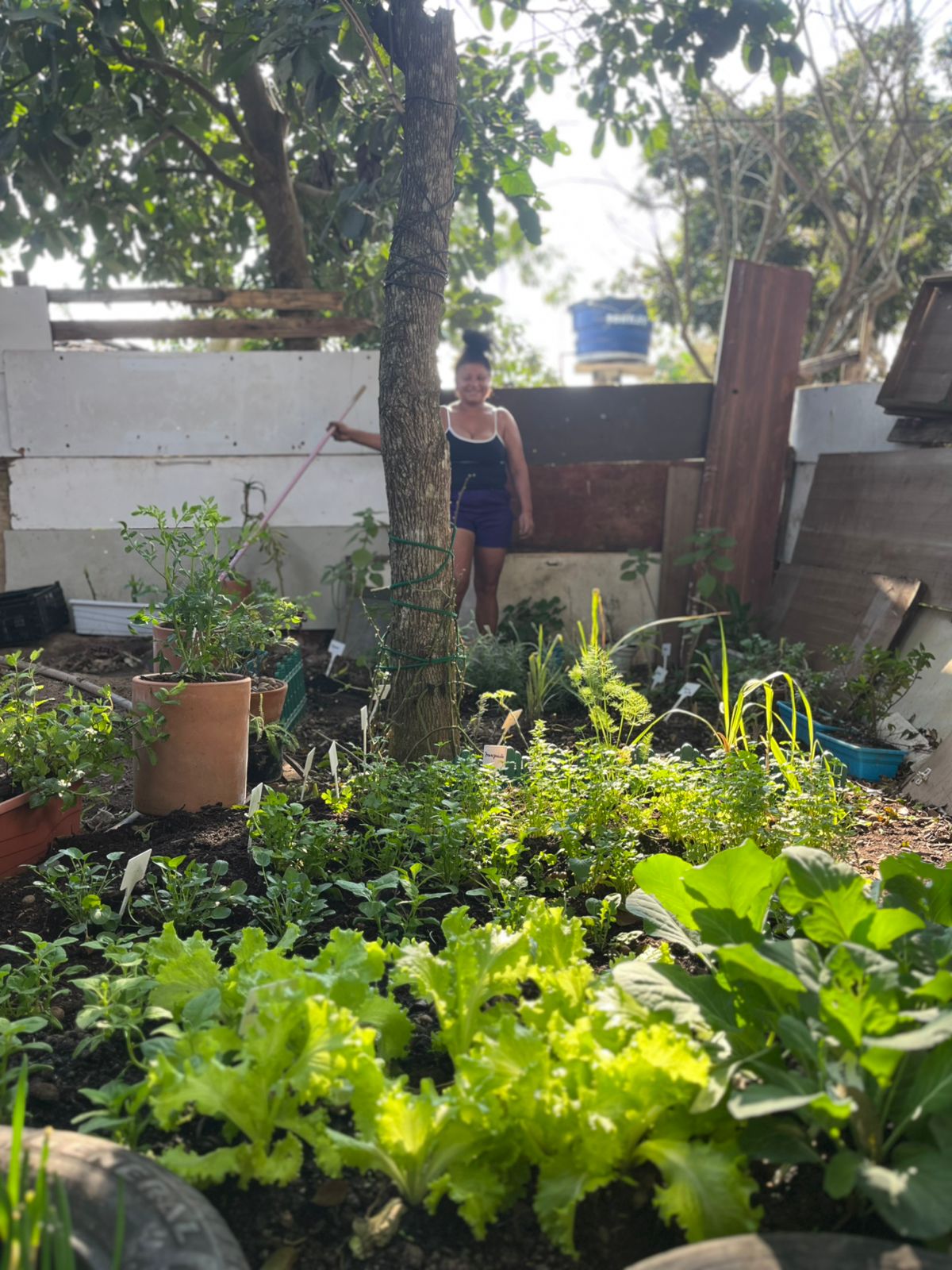 Horta agroflorestal onde antes eram descartados lixos