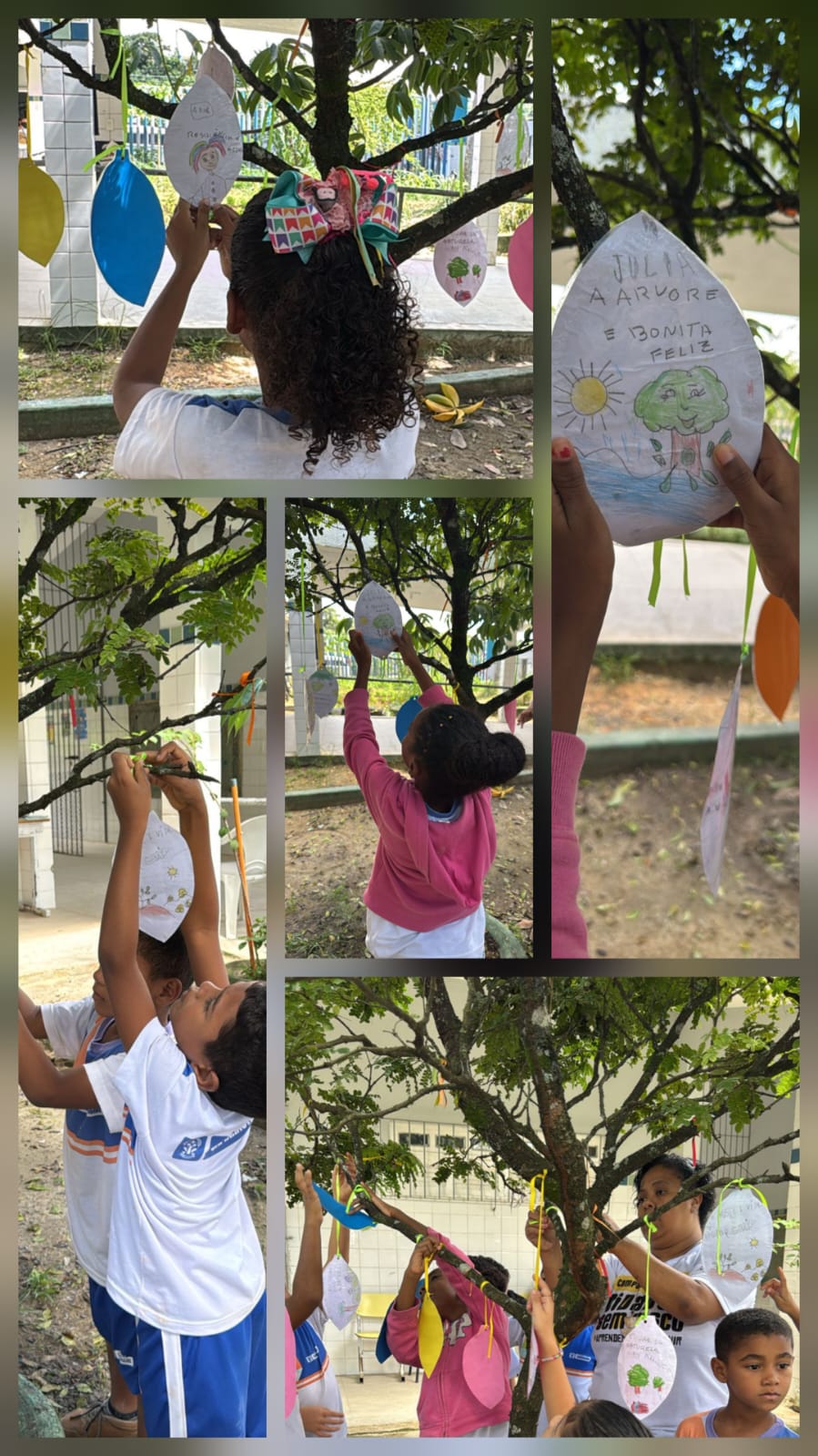 As crianças pendurando as suas propostas na árvore Pau-Brasil na área interna da Escola Municipal Santa Teresa.