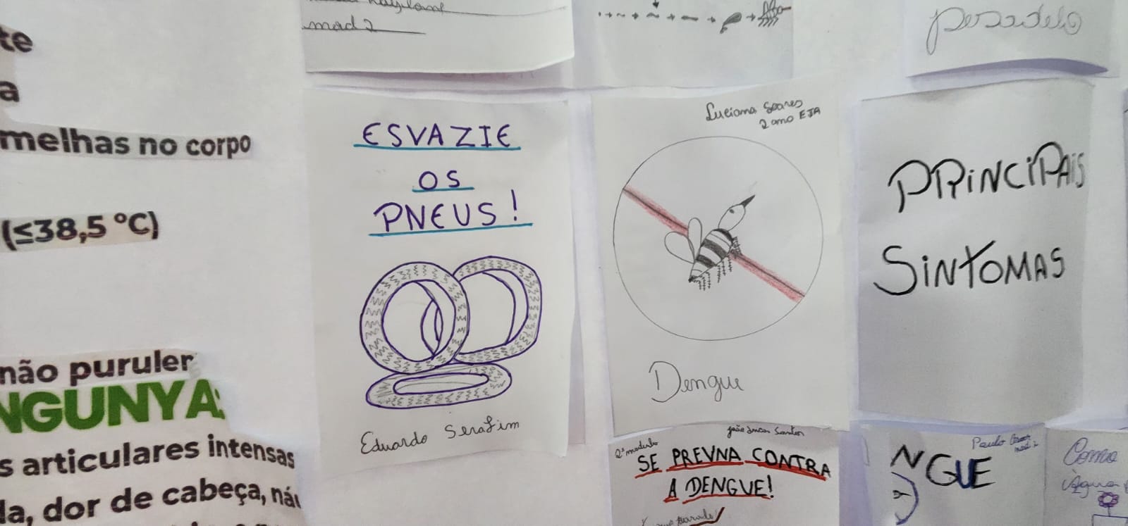 Figura 1. Panfleto informativo construidos para apresentar na ação da vizinhaça dos estudantes